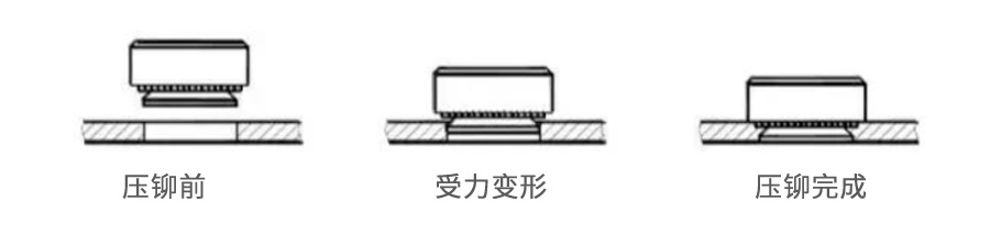 壓鉚螺母 壓鉚螺母